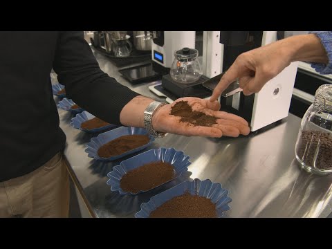 Vidéo: Où est la poudre d'espresso dans l'épicerie ?