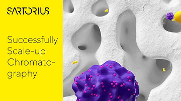 How to Successfully Scale Up with Chromatography