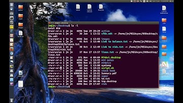 Give execute permissions to your bash script