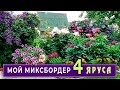 МИКСБОРДЕР из четырех ярусов цветов радует своей красотой  с весны до осени.