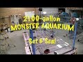 Building a 2100-Gallon Aquarium Building a 2100-Gallon Aquarium