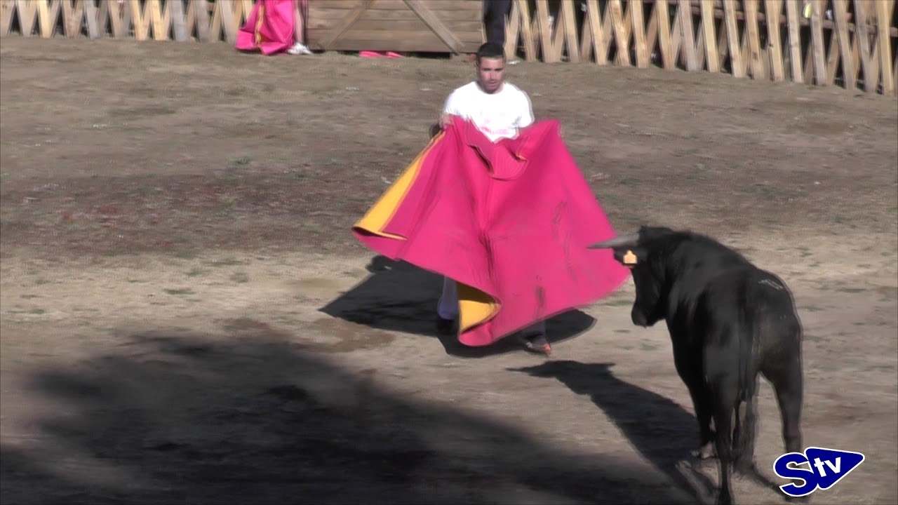 Los visontinos celebran su becerrada