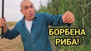 Успешен летен риболов на плувка! Какво хванахме?