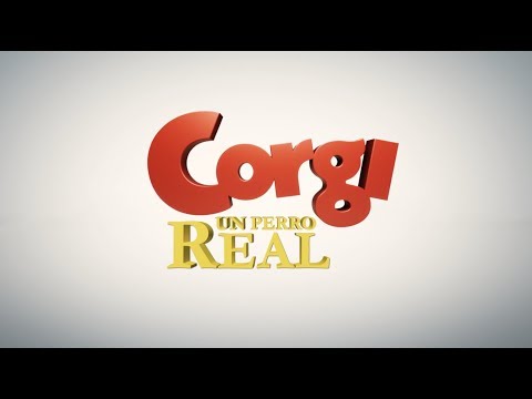 Corgi: Un Perro Real | Tráiler oficial doblado al español