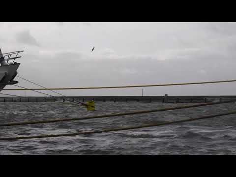 Storm Ciara ( 09-02-2020 ) en de dag er na.