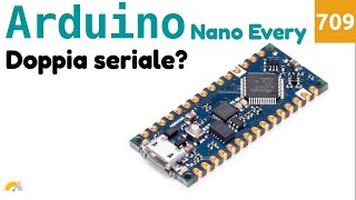 Le Due Seriali Di Arduino Nano Every - Video 709
