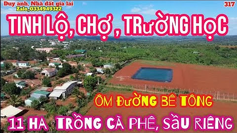 11 ha trồng cà phê hoặc sầu riêng, ôm đường bê tông, nằm khu dân cư, nhà rẫy, điện 3 pha, đất đẹp