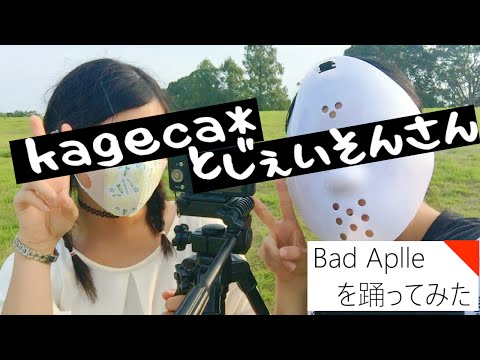 【kageca*】Bad Apple!! を踊ってみた 【じぇいそんさん】