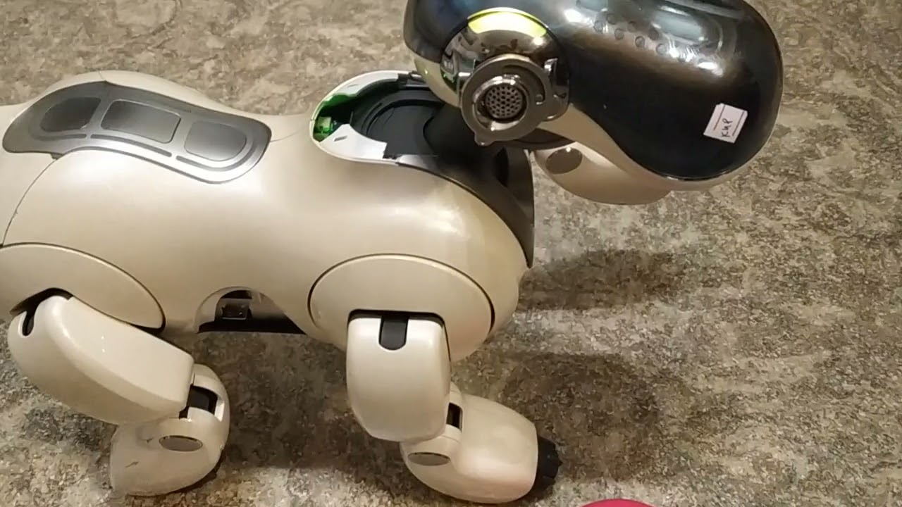 Aibo ers-7 clinic mode