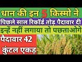 Top paddy seeds 2023  dhan ki new variety 2023  top hybrid paddy seeds  dhan ki kheti  