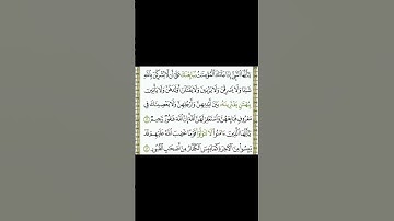 القارئ #محمدالفقية #اكسبلور#راحة_نفسية#ماشاء الله