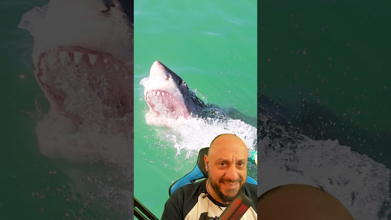 Tubarão atacou caiaque no Hawai!