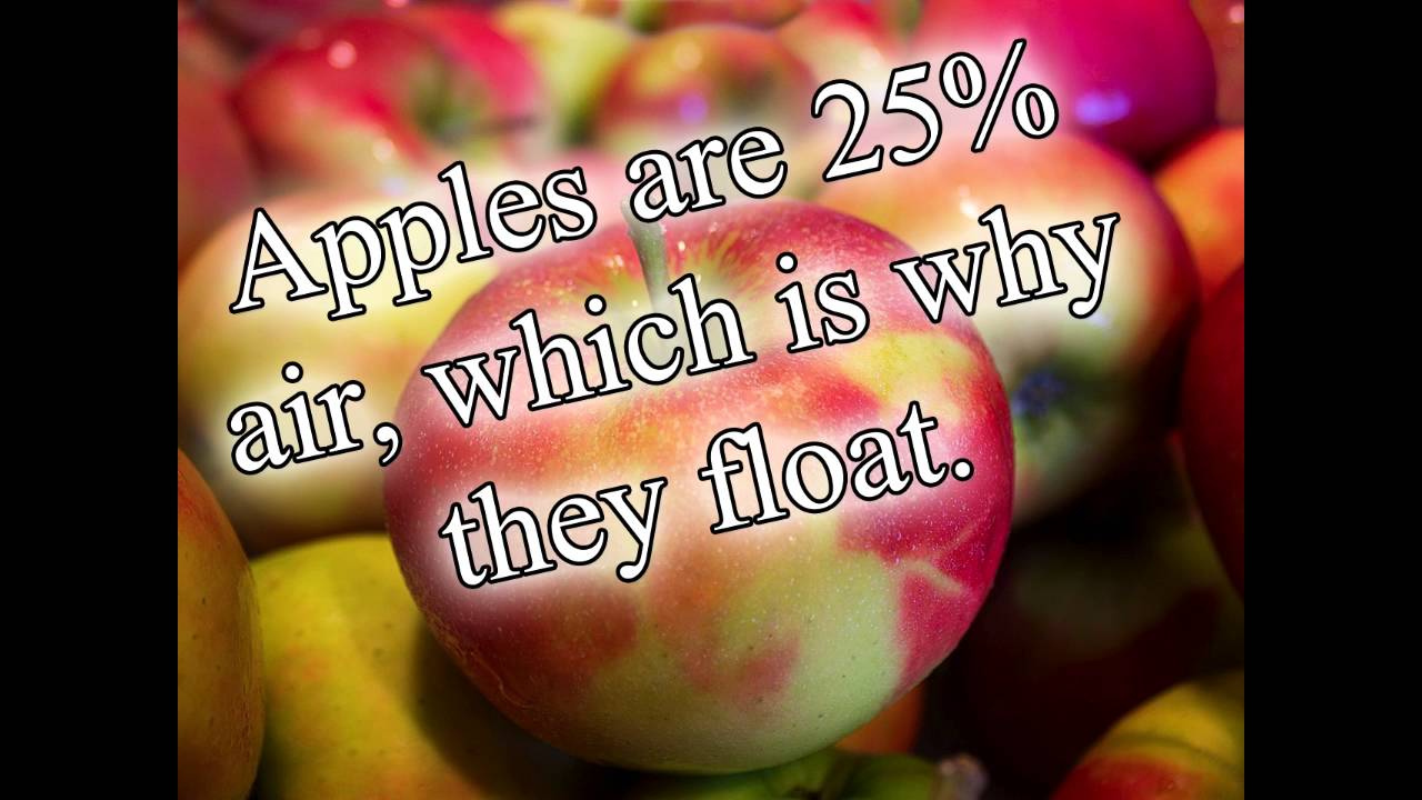 Fun Facts About Apples - YouTube