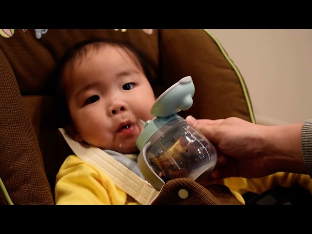 【ASMR】赤ちゃんがミルクと離乳食を食べる音、高画質VER