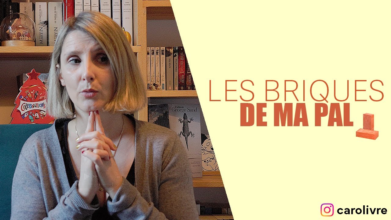 Les briques de ma PAL!