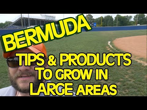 Video: Bermuda Grass Care - Suggerimenti su come coltivare l'erba Bermuda