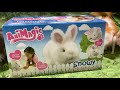 Animagic interactive rabbit snowey unboxing demonstration review  electronics project custom plans