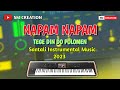Napam napam tege  new santali instrumental music  sm creation