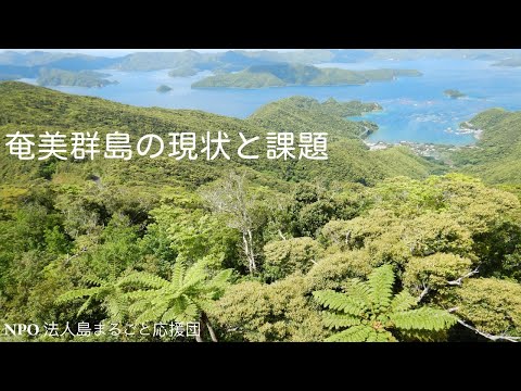 奄美群島の魅力と現状