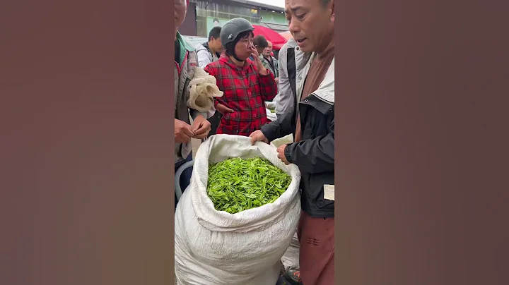 Tea farmers sell fresh leaves in the trading market and take pictures to form a long line waiting f - 天天要闻
