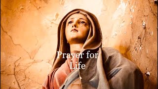 “Prayer for Life”  by St.Pope John Paul II (Text in description below)