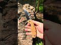 spyderco tenacious lightweight #edc #edcorganizer #tacticaledc #blade #spydercoknives