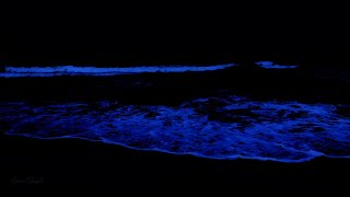 Fall Asleep with Waves Rolling Ashore, 24 Hours of Ocean Sounds for Deep Sleeping on a Calm Night