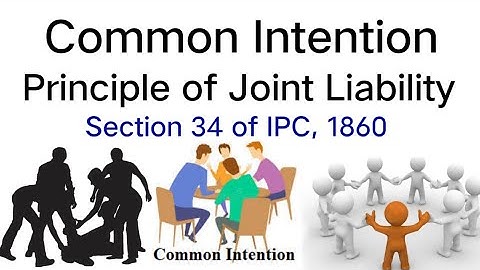 Common Intention / Principle of Joint Liability / Section 34 of IPC / In Hindi