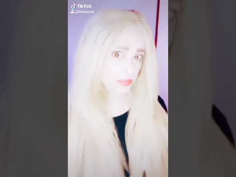 هنا الزاهد الواد سيد الشحات تارا كات