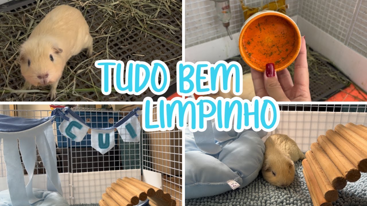 Troca de forração | Limpeza do cercado