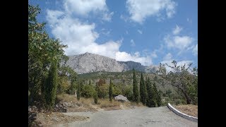 Пикировка Кипариса Пикировка Кипариса