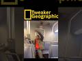 Tweaker Geographic Episode 63: “50 Fent?”