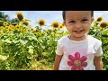 ararum kaanathe | ആരാരും കാണാതെ