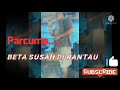 Parcuma beta susah di rantau supriyanto upingo  cover lagu ambon