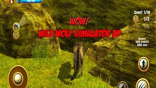 Wild Wolf Simulator 3D - Android Gameplay screenshot 4