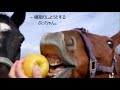 20201209 リンゴをいただきます