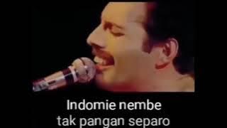 Status wa lucu 30 detik - Nyanyi Karo Ndog