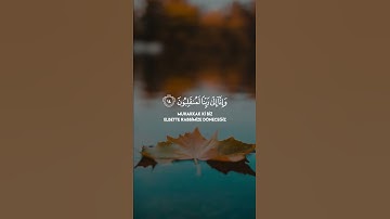 Ahmed Khedr l Zuhruf Suresi 12-15 أحمد خضر سورة الزخرف