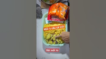 Phần 1: MỒI Ủ CÂU CÁ TRÔI. Hôm nay mình sẽ lên 1 bài mồi tủ câu cá trôi ae tham khảo #shots #fish