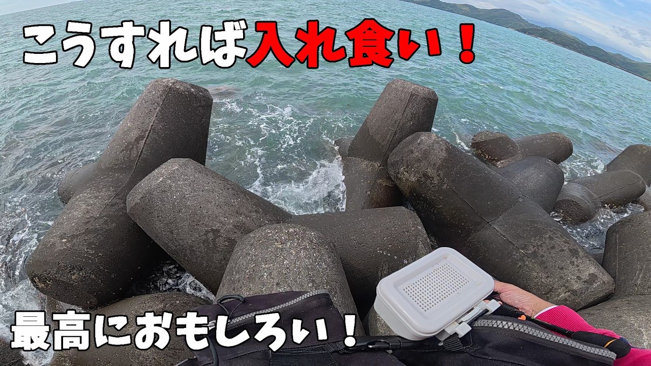 やっぱりこの釣り面白すぎる!
