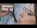 JACKASS FOREVER | Tips for Stress Awareness Month | Paramount Movies