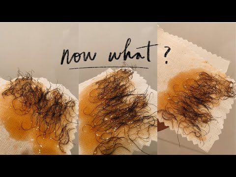 BRAZILIAN PRE & POST SUGAR WAX CARE | Numbing Cream + Prevent Ingrowns!