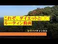 【ルーティン動画】いつものコースを柴犬のポロ君とダイエット兼ねて散歩中