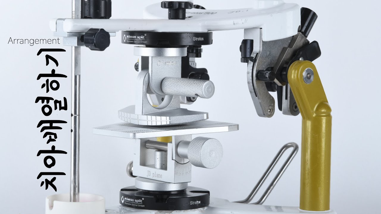 JD device 활용해서 배열 - 치은형성 까지