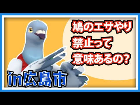 【羽鳥ぽぽぽ】野生鳩のエサやり禁止の効果ってある？in広島市【第301羽】