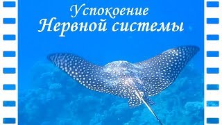 ❀ Образный РЕЛАКС ❀ СОН ❀ успокоение НЕРВНОЙ системы ❀