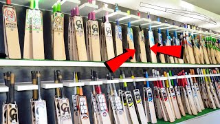 Choosing the perfect cricket bat! (Weight, Size, Willow, Bounce)