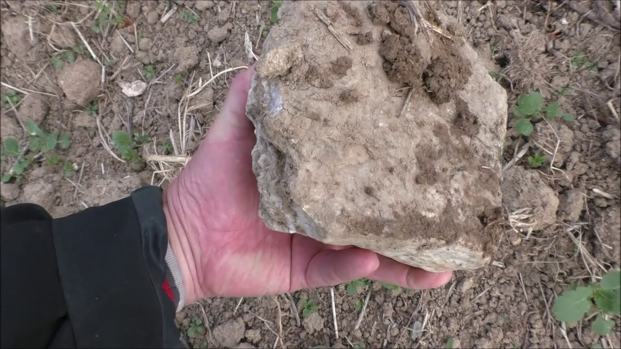 КВАРЦЕВАЯ ЖИЛА - YouTube