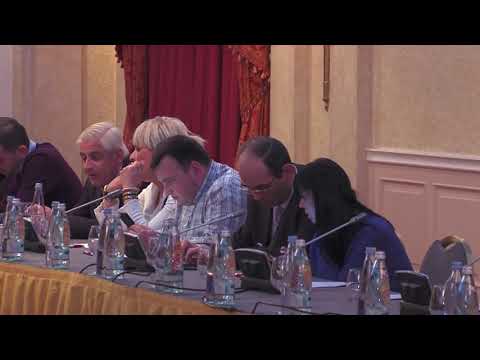 საქართველოს პრეზიდენტის შეხვედრა არასამთავრობო ორგანიზაციებთან 20.12.2018