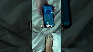 I Made A Video Game For My Dog...